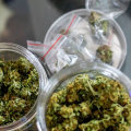 What is the best cbd strain for pain?