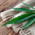 What is the difference between cbd gummies and cbd oil?