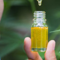Can doctors recommend cbd oil?