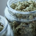 Which is better for back pain sativa or indica?