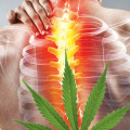 What cbd strain is best for back pain?