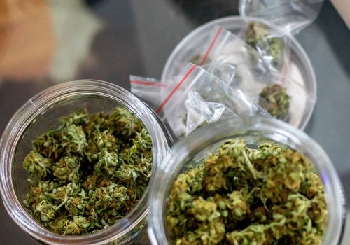 What is the best cbd strain for pain?