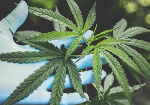 CBD For Pain Management In Omaha: Why It’s A Game Changer